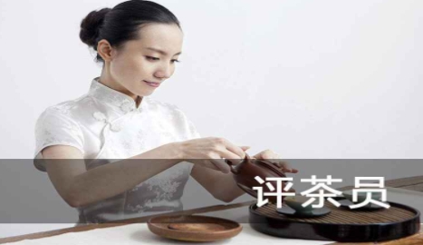 中级评茶员